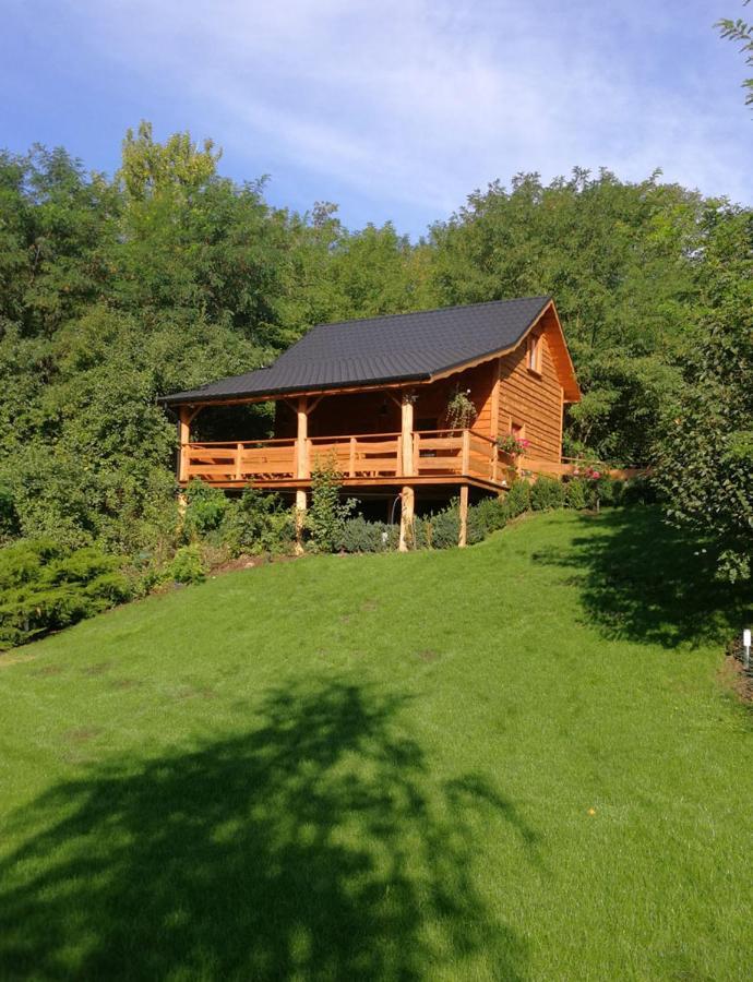Villa Eden Ślesin Esterno foto