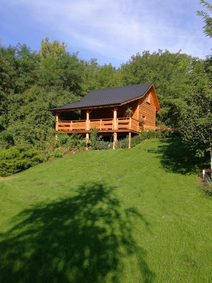 Villa Eden Ślesin Esterno foto