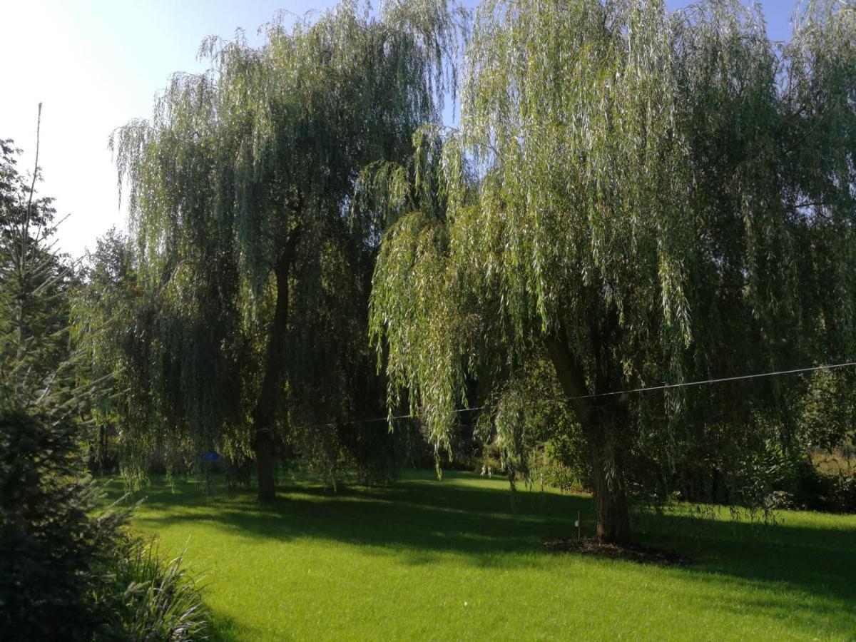 Villa Eden Ślesin Esterno foto